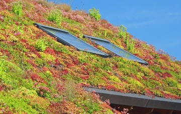 Sithney living roof systems
